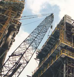 2. &iquest;Qui&eacute;n se encarga en Espa&ntilde;a de elaborar los IRD?